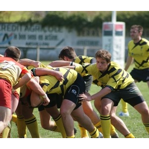 Avenir Excideuil Rugby - C'est bien connu, les Abeilles sont combattives.