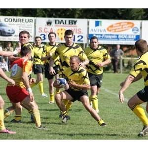 Avenir Excideuil Rugby - Attention, les abeilles piquent.