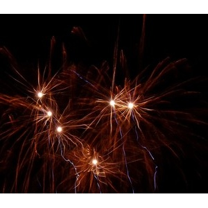 Feu d'artifices 2010