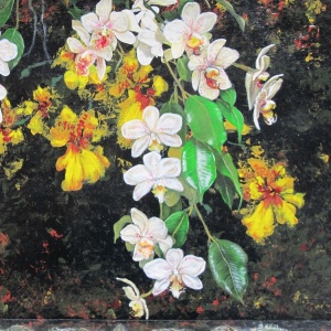 Œuvre de Catherine Aviron
