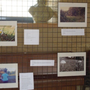Expo mairie 2015