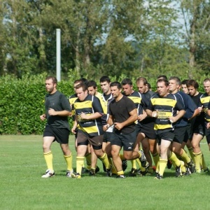 Les Abeilles