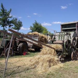 Démonstration de Battage à l'ancienne