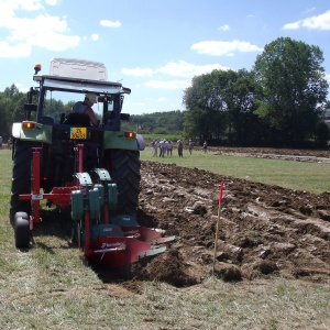 Concours de Labour