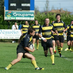 Les Abeilles en action