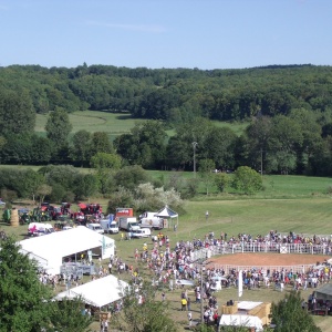 Une vue d'ensemble