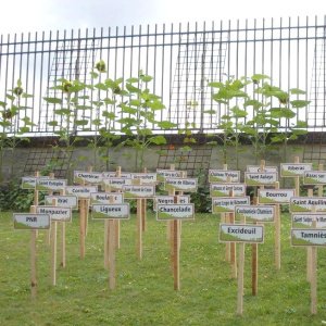 Les Communes signataires