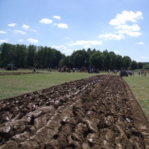 Concours de Labour