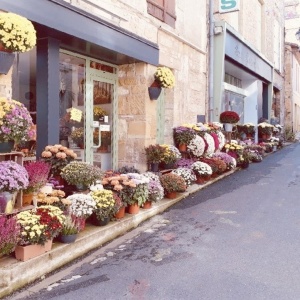 Aux Floralies1